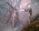 Waldbrand