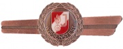 Wissenstestabzeichen Bronze